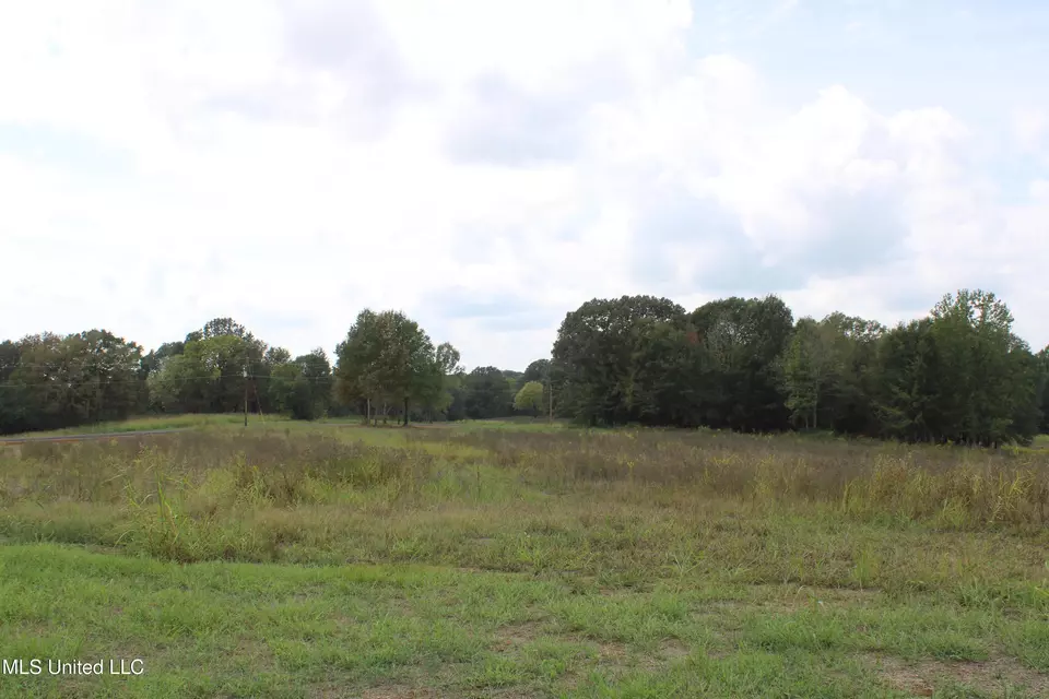  8 Hickory Hollow Rd, Hernando, MS 38632 photo 50