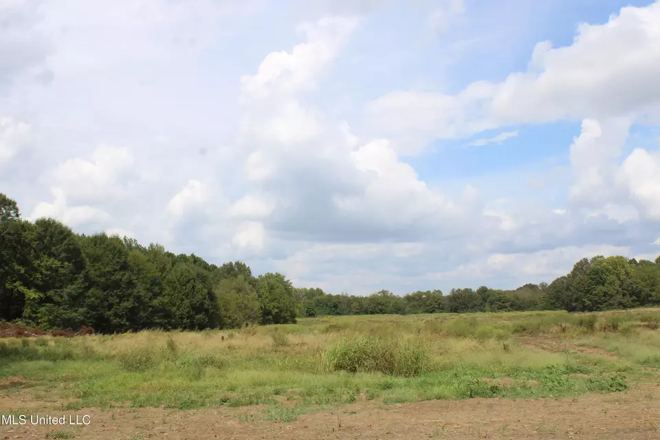  8 Hickory Hollow Rd, Hernando, MS 38632 photo 70