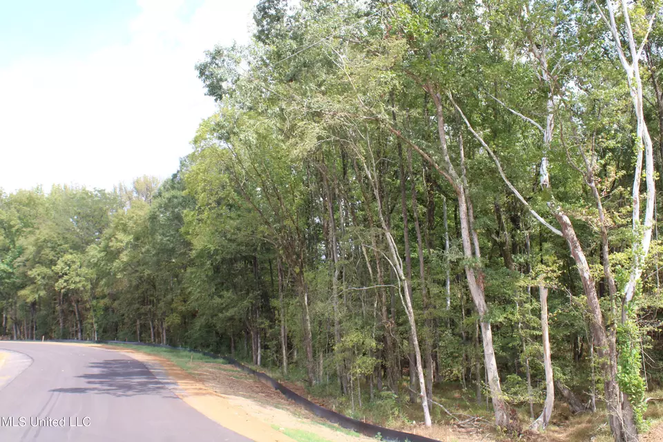  8 Hickory Hollow Rd, Hernando, MS 38632 photo 32