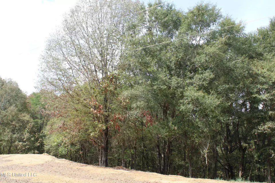  8 Hickory Hollow Rd, Hernando, MS 38632 photo 25