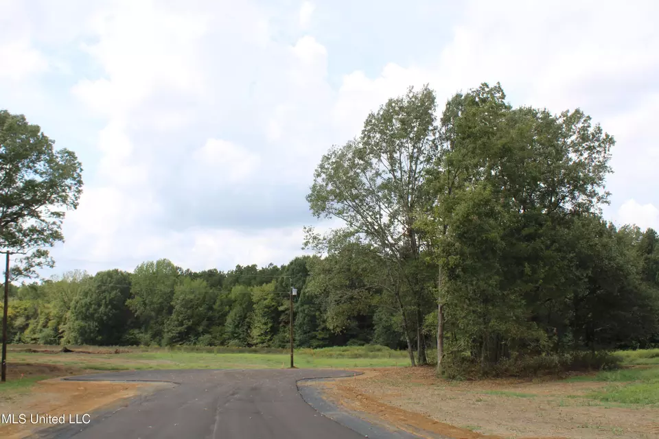  8 Hickory Hollow Rd, Hernando, MS 38632 photo 66