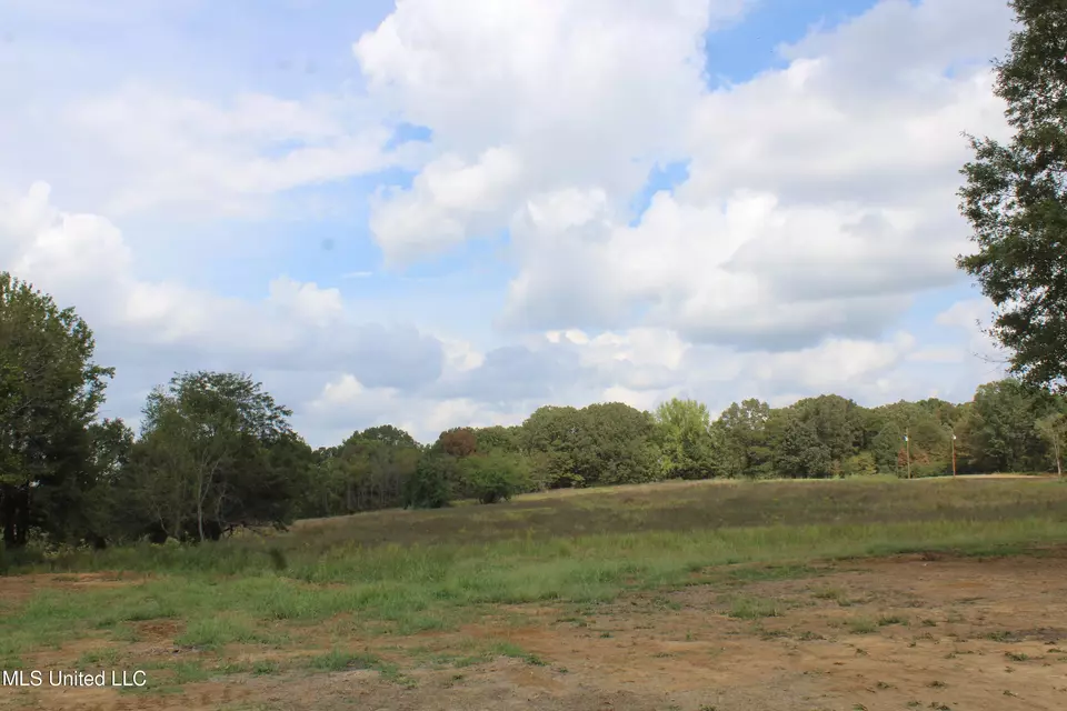  8 Hickory Hollow Rd, Hernando, MS 38632 photo 61