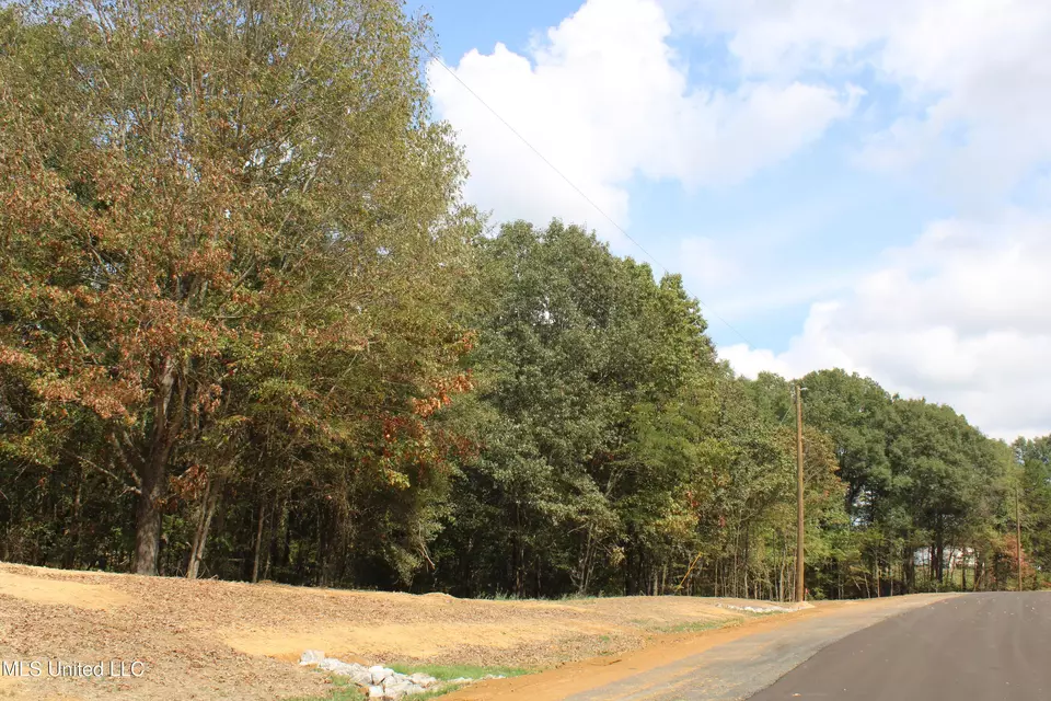  8 Hickory Hollow Rd, Hernando, MS 38632 photo 26