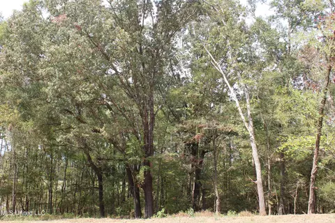 9 Hickory Hollow Rd, Hernando, MS 38632 photo 29