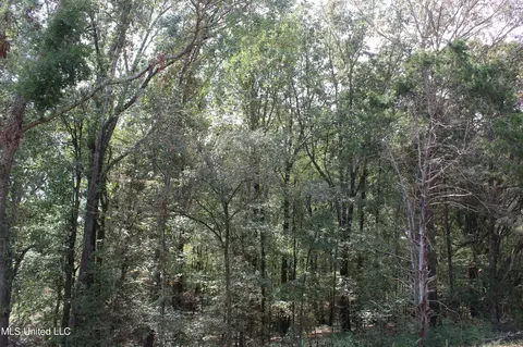 9 Hickory Hollow Rd, Hernando, MS 38632 photo 3