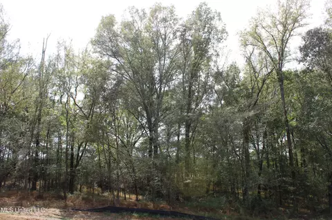 9 Hickory Hollow Rd, Hernando, MS 38632 photo 13