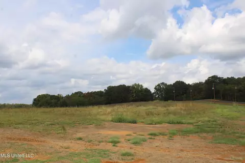 12 Old Barn Cv, Hernando, MS 38632 photo 57