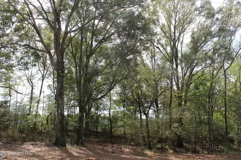 12 Old Barn Cv, Hernando, MS 38632 photo 11