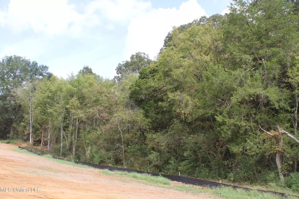  14 Old Barn Cv, Hernando, MS 38632 photo 40