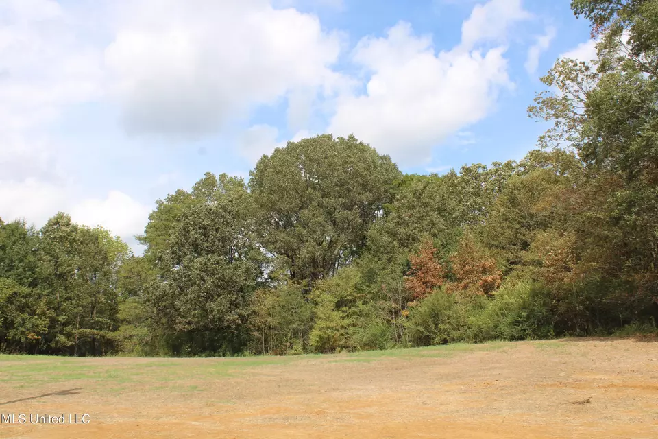  14 Old Barn Cv, Hernando, MS 38632 photo 44
