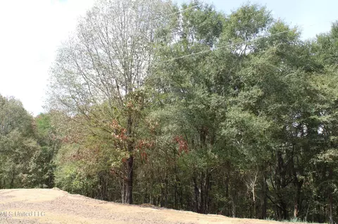 17 Old Barn Cv, Hernando, MS 38632 photo 25