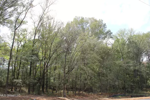 19 Hickory Hollow Rd, Hernando, MS 38632 photo 12