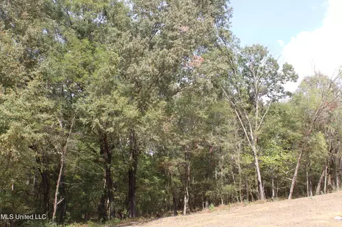 19 Hickory Hollow Rd, Hernando, MS 38632 photo 30