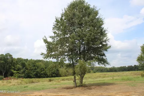 19 Hickory Hollow Rd, Hernando, MS 38632 photo 63