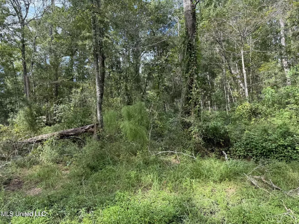  Highway 604 & 1st Avenue, Pearlington, MS 39572 photo 7
