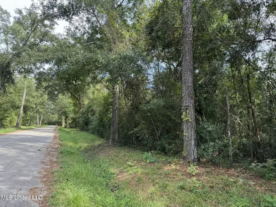  Highway 604 & 1st Avenue, Pearlington, MS 39572 photo 2