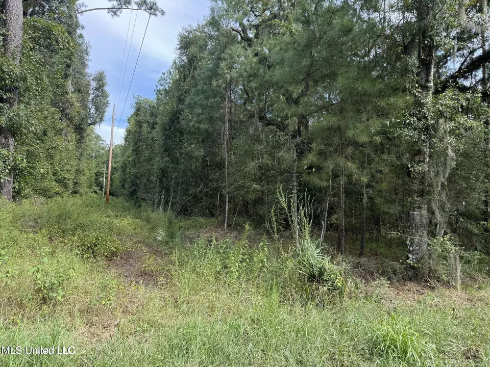  Highway 604 & 1st Avenue, Pearlington, MS 39572 photo 3