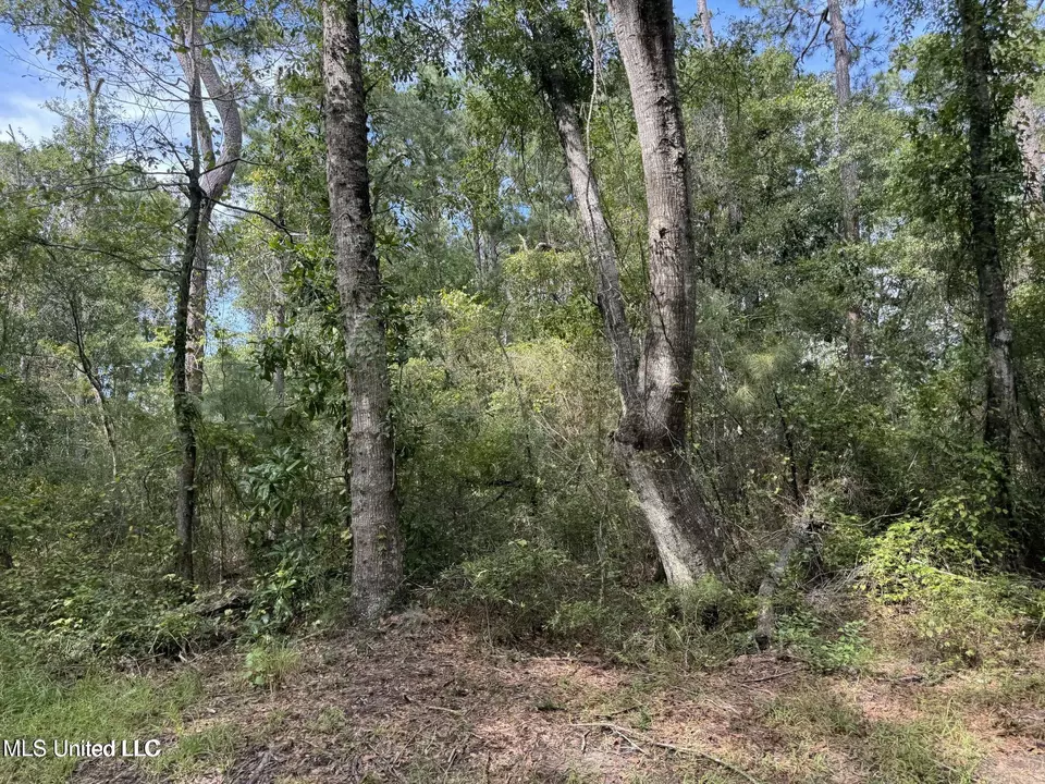  Highway 604 & 1st Avenue, Pearlington, MS 39572 photo 6