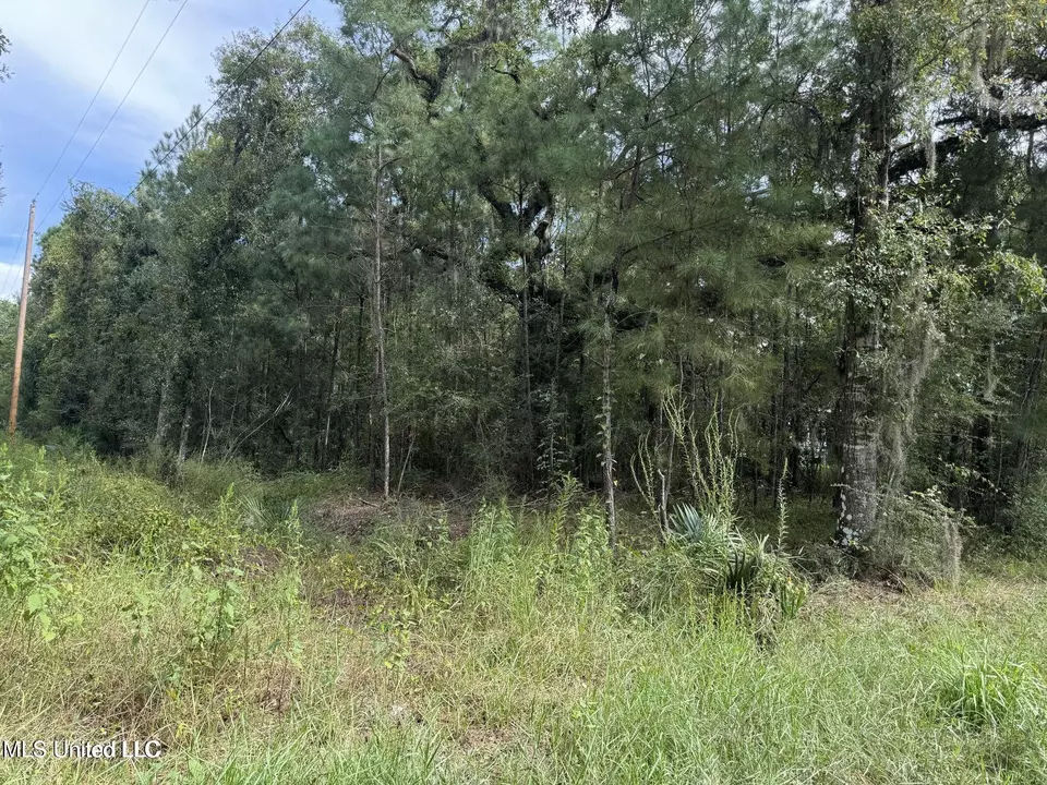  Highway 604 & 1st Avenue, Pearlington, MS 39572 photo 4