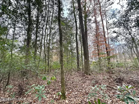 0 Highway 469, Florence, MS 39073 photo 22