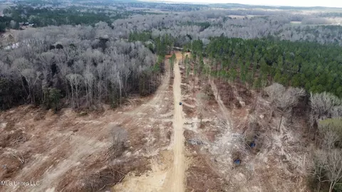 0 Highway 469, Florence, MS 39073 photo 31