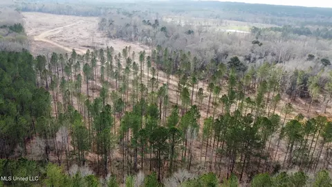 0 Highway 469, Florence, MS 39073 photo 22