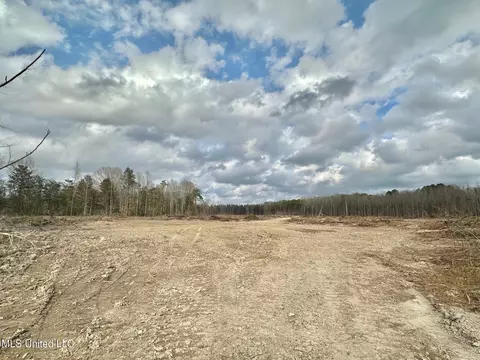 0 Highway 469, Florence, MS 39073 photo 18