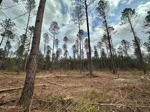 0 Highway 469, Florence, MS 39073 photo 6