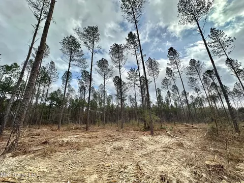 0 Highway 469, Florence, MS 39073 photo 5