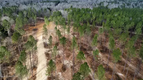 0 Highway 469, Florence, MS 39073 photo 21