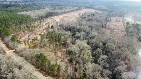 0 Highway 469, Florence, MS 39073 photo 24
