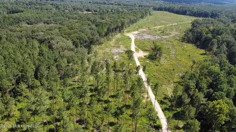 0 Highway 469, Florence, MS 39073 photo 16