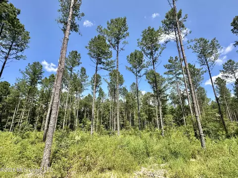 0 Highway 469, Florence, MS 39073 photo 5