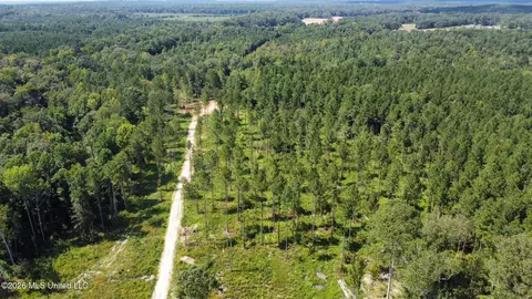 0 Highway 469, Florence, MS 39073 photo 19