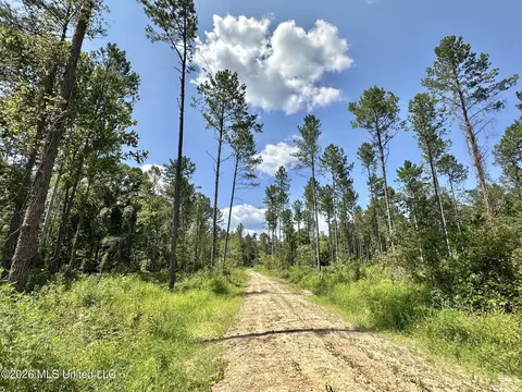 0 Highway 469, Florence, MS 39073 photo 12