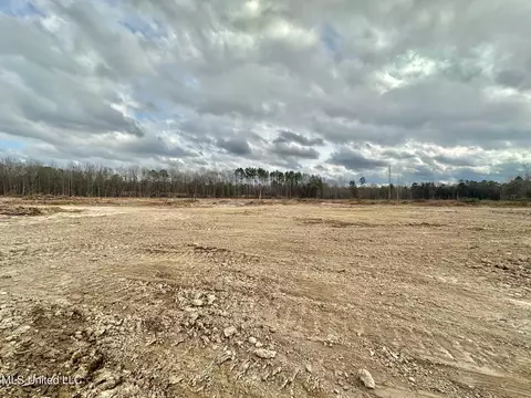 0 Highway 469, Florence, MS 39073 photo 17