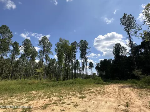 0 Highway 469, Florence, MS 39073 photo 2