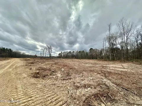 0 Highway 469, Florence, MS 39073 photo 7