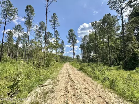 0 Highway 469, Florence, MS 39073 photo 4
