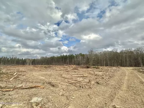 0 Highway 469, Florence, MS 39073 photo 15