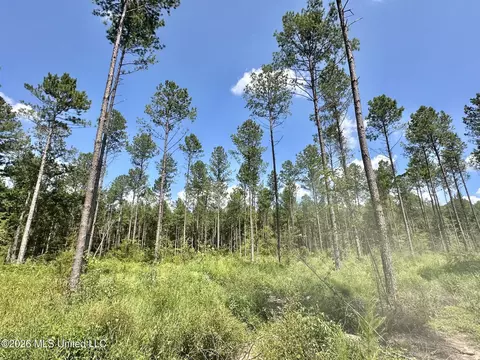 0 Highway 469, Florence, MS 39073 photo 7