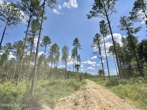 0 Highway 469, Florence, MS 39073 photo 6