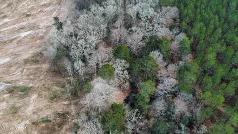 0 Highway 469, Florence, MS 39073 photo 28
