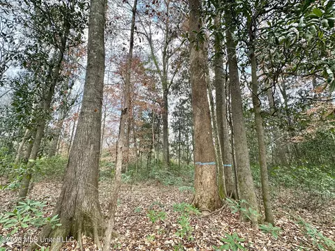 0 Highway 469, Florence, MS 39073 photo 21