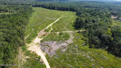 0 Highway 469, Florence, MS 39073 photo 18