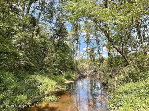 0 Highway 469, Florence, MS 39073 photo 11