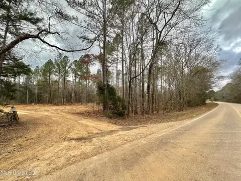 0 Highway 469, Florence, MS 39073 photo 2