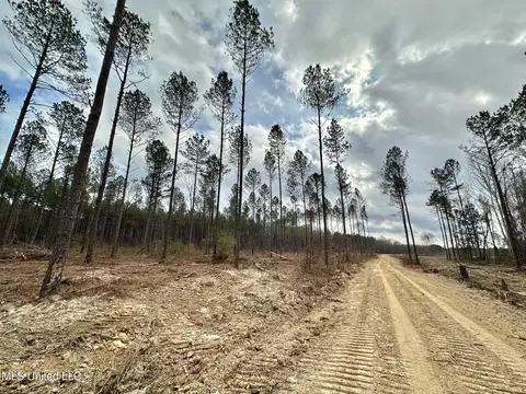 0 Highway 469, Florence, MS 39073 photo 4