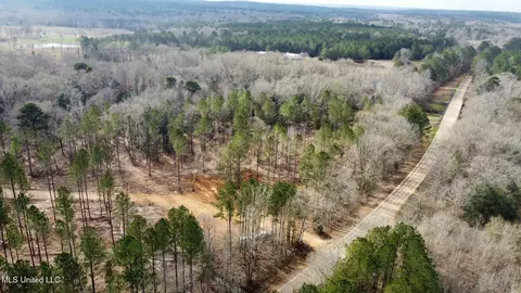 0 Highway 469, Florence, MS 39073 photo 23