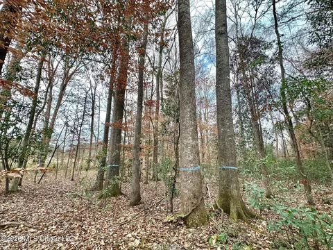 0 Highway 469, Florence, MS 39073 photo 20